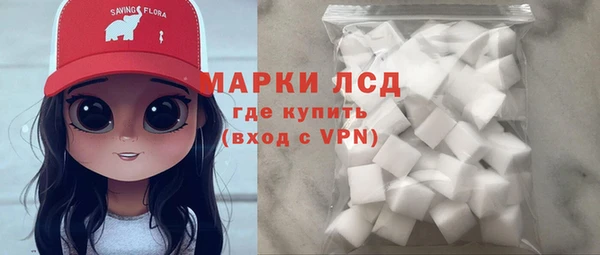 хмурый Арсеньев