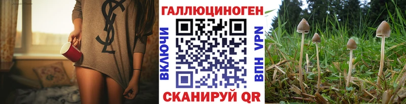 Купить закладки  Струнино  Галлюциногенные грибы мицелий 